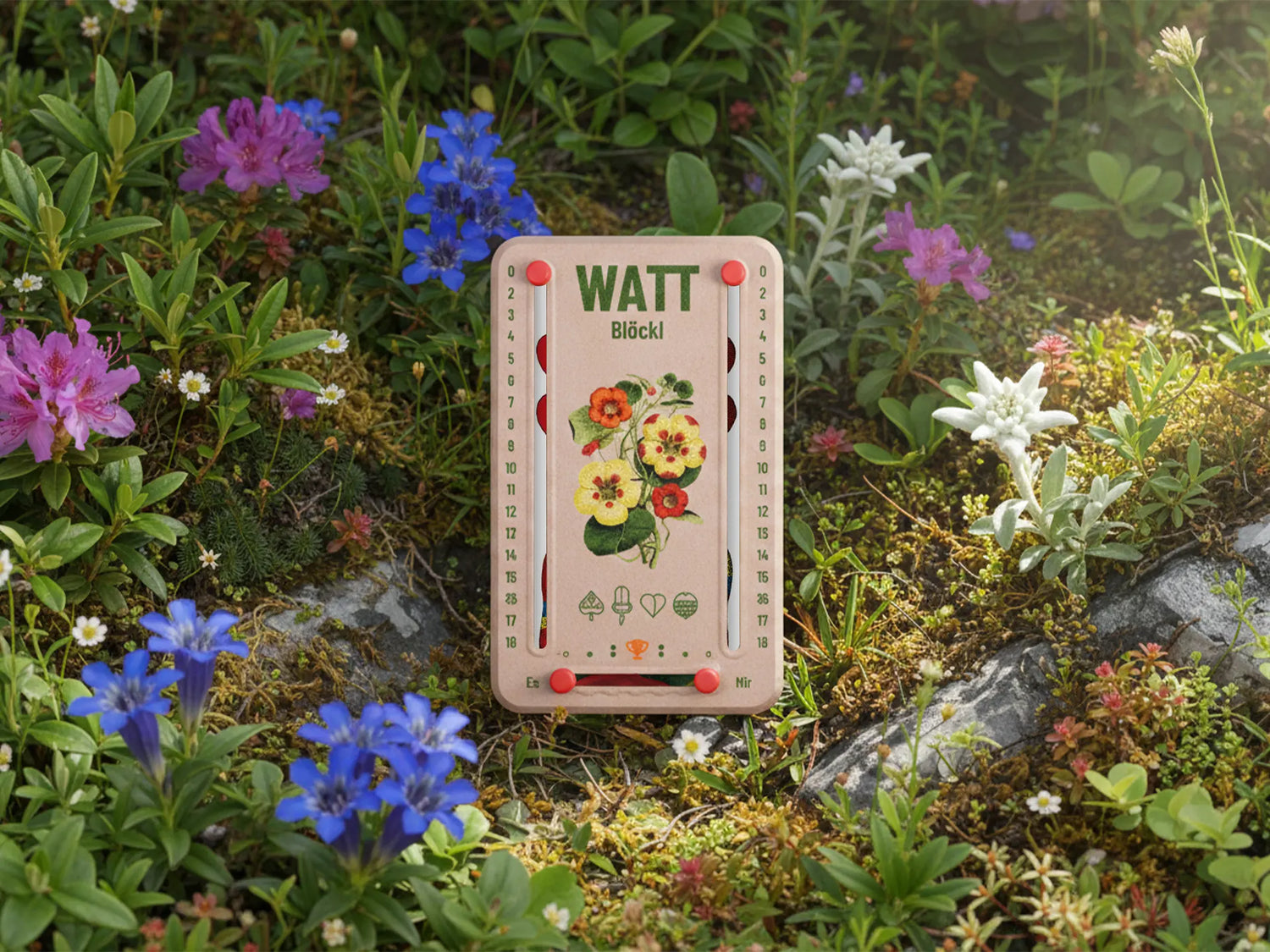 Wattbloeckl mit 18 Punkten auf Waldblumenhintergrund